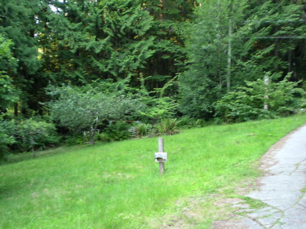 Davis Brook Retreat Bed and Breakfast Sechelt Eksteriør billede