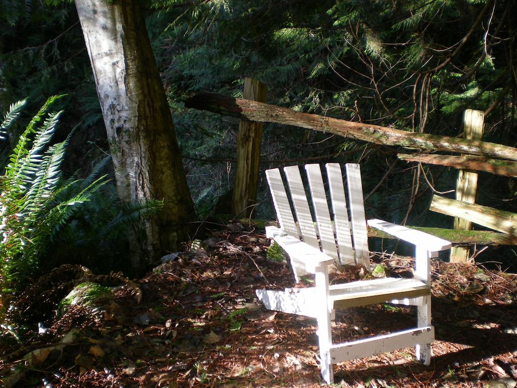 Davis Brook Retreat Bed and Breakfast Sechelt Eksteriør billede