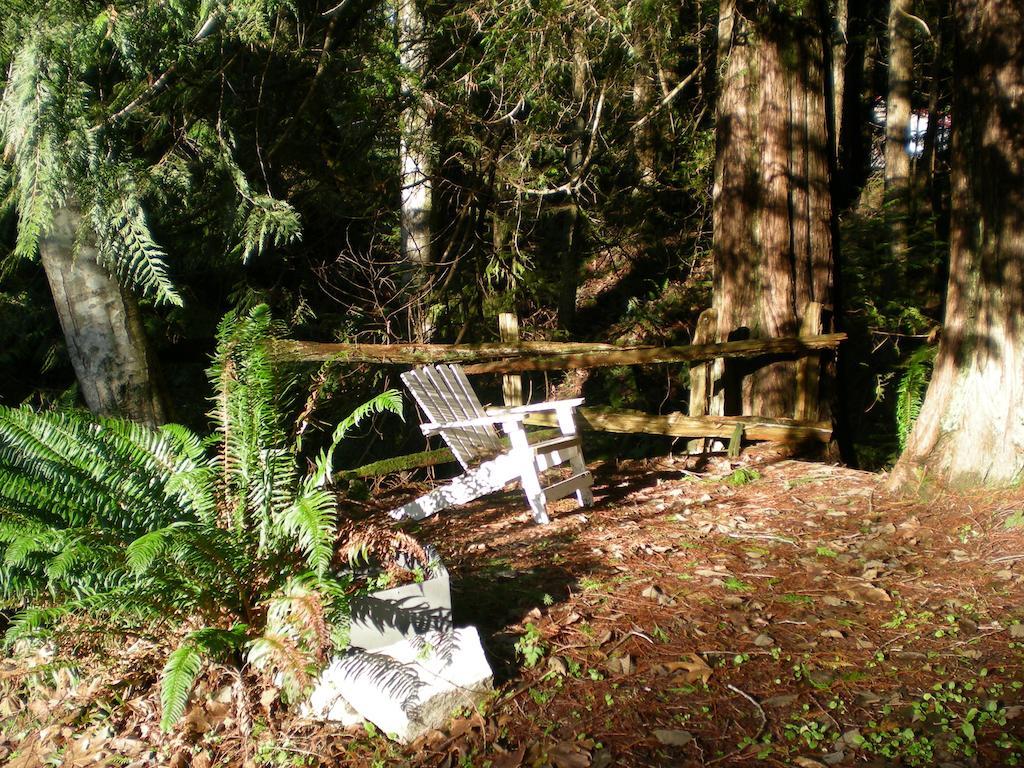 Davis Brook Retreat Bed and Breakfast Sechelt Eksteriør billede