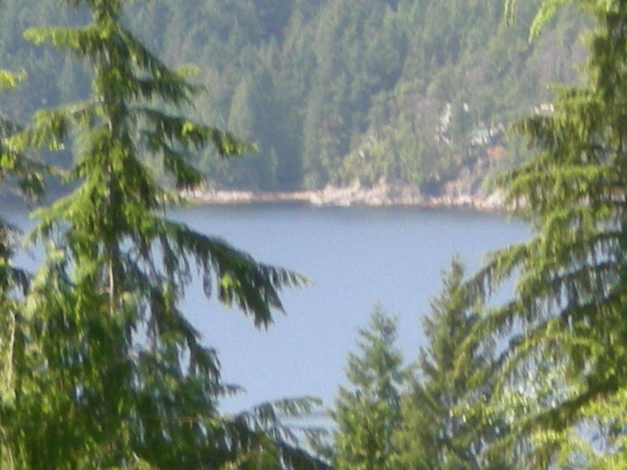 Davis Brook Retreat Bed and Breakfast Sechelt Eksteriør billede